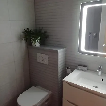 Apartment Albatros *